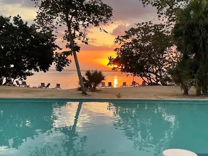 Villa Irie Vibes Ocean View Negril